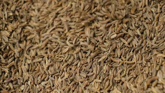 Organic Cumin Seeds for Cooking and Seasoning Pour Slow Motion
