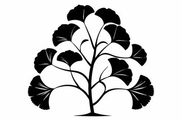 ginkgo biloba plant line art silhouette vector illustration