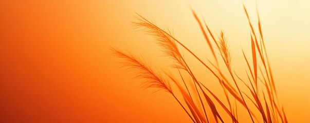 Orange sunset casting a warm glow across a tranquil lake, reeds silhouetted against the sky, rich in a summer evening color moment