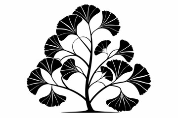 ginkgo biloba plant line art silhouette vector illustration