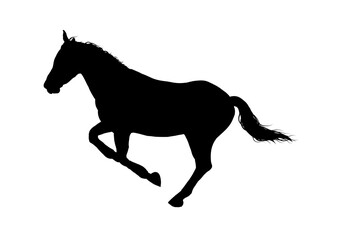 silhouette of a horse - vector illustration