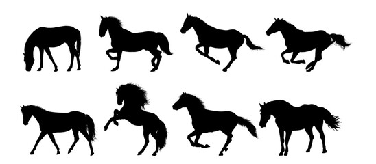 Set of horse silhouettes - vector illustration