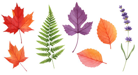 Naklejka premium Watercolor Botanical Collection: Diverse Leaf and Floral Elements Illustration