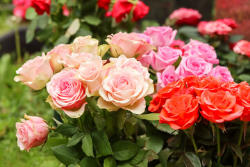 Beautiful bouquets of different colored red roses on the grave. Memorial flowers have been brought to the grave of a loved one.