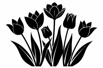 tulips line art silhouette vector illustration
