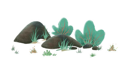 plant and rocks drawing