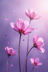 Fototapeta premium Delicate petal clusters float on lavender mist, isolated background, minimalist art, abstract blooms