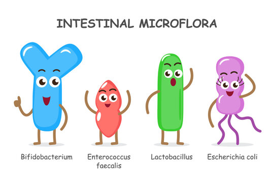 Intestinal microflora . Collection of cute medical microbiome cartoon characters . Vector . Set 1 of 3 .