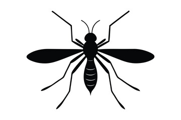 Mosquito icon vector on white background