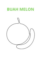 vector illustration of an melon