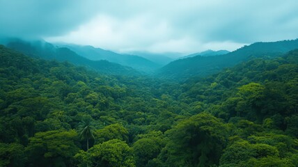 Obraz premium Misty Green Mountain Valley Landscape
