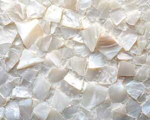 White shell mosaic texture background