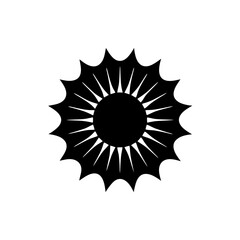 creative details Bright Sun Rays Icon vector illustration