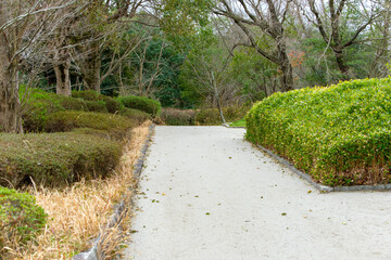 冬の静かな公園の散歩道