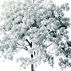 vector illustration of an abstract background