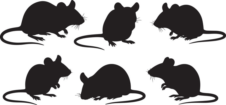 Mouse silhouette vector illustration icons