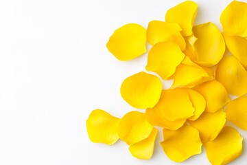 Fototapeta premium Bright Yellow Rose Petals on White - A scattering of vibrant yellow rose petals on a clean white background. Symbolizing joy, new beginnings, warmth, and springtime freshness. Perfect for cards