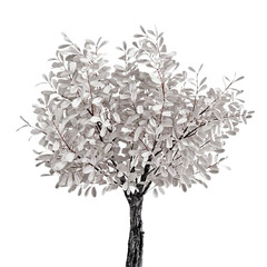 tree black and white