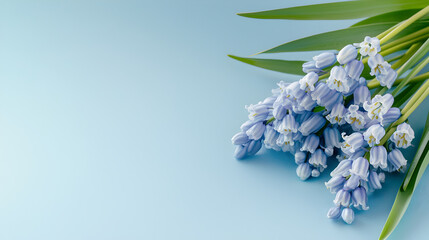 clean design featuring cluster of bluebells with green leaves on soft blue background