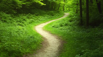 Obraz premium Serene winding path through lush greenery, inviting nature trail surrounded by vibrant foliage, perfect for peaceful strolls.