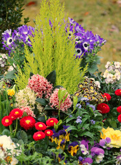frühling im garten blumenbeet
