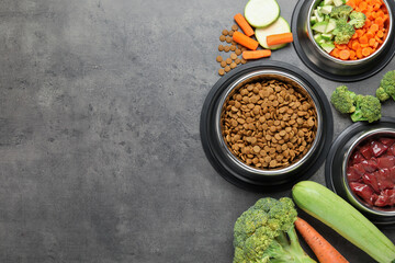 Dry pet food and natural products on grey table, top view. Space for text