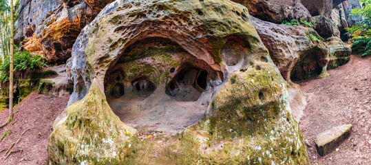 Fototapete bei efototapeten.de bestellen   