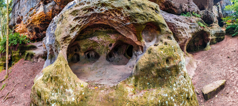 Panoramic over ancient forest, sandstone rocks Quirl and caves in the national park Saxon Switzerland, Saxony, Germany