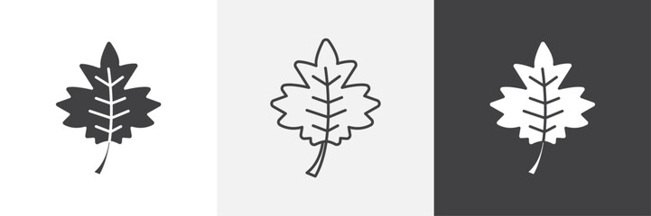 Maple Leaf icons in Thin line black color. flat simple vector symbols illustration.