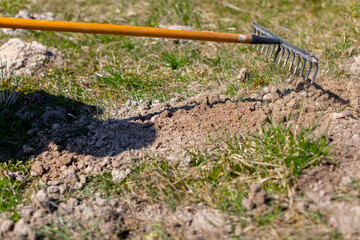 Gardening With a Rake Preparing Soil Effectively for the Best Planting Experience Ever