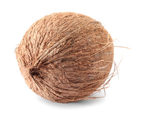 One whole coconut in shell isolated on white