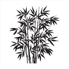 Black and white Silhouette of a bamboo plant
