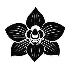 Flowers isolated on transparent background.  Vector illustrator. Flower icons isolated on white background.