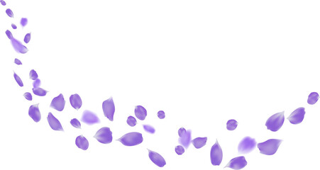 Purple rose petal flying design for decoration romantic season, love day, festival and anniversary