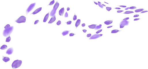 Realistic rose petal in motion flying wind vector illustration. Perfume aroma and spa