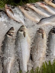 Exquisite Fresh Seafood Display on Ice Showcasing Culinary Delights for Everyone. A diverse and array of fresh fish artfully displayed on ice, perfect for gourmet meals and seafood enthusiasts