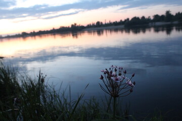 evening landscape sunset over river near shore