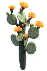 Fototapete Rund Isolated cactus with flowers © Patricia