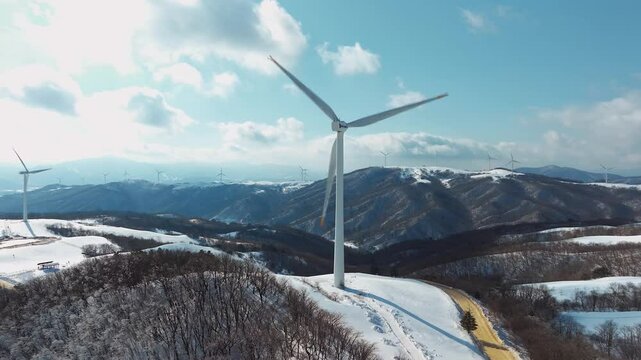 강원도 평창 대관령 삼양목장 겨울 풍경