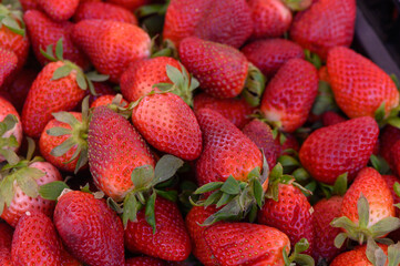 Bountiful harvest of vibrant strawberries gathered at a sunny farmer's market in early summer