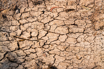 Assessing soil and agricultural impact of drought in arid environments ground-level insights
