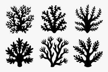 coral set line art silhouette vector illustration