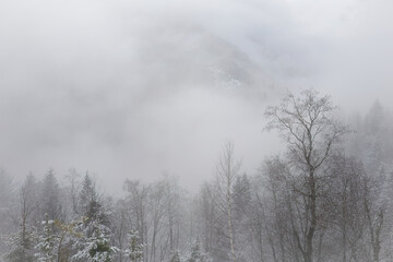 foggy mountain landscape at a spring day