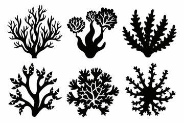 coral set line art silhouette vector illustration