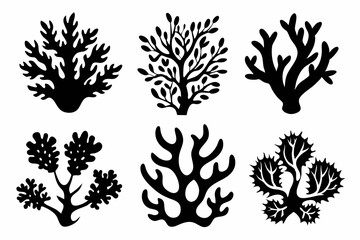 coral set line art silhouette vector illustration