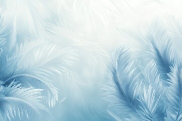 Fototapeta premium Delicate blue feathers create a soft ethereal texture in this light and airy background