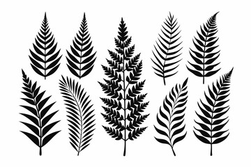 Naklejka premium fern leaf icon set line art silhouette vector illustration