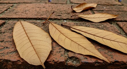 Dried Leaves on Brick Surface Up Close View - Dry brown leaves arranged on a textured brick surface. Symbolizing autumn, nature's cycle, fragility, decay, and time's passage