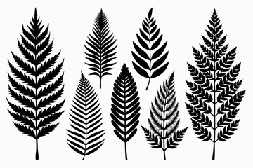 Naklejka premium fern leaf icon set line art silhouette vector illustration