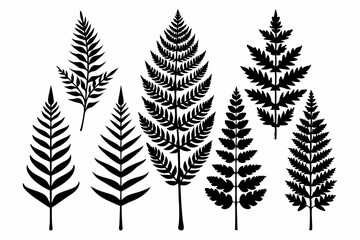 Fototapeta premium fern leaf icon set line art silhouette vector illustration